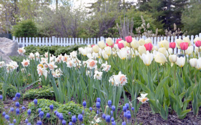 Classes and Hands On Experiences at the Coastal Maine Botanical Gardens