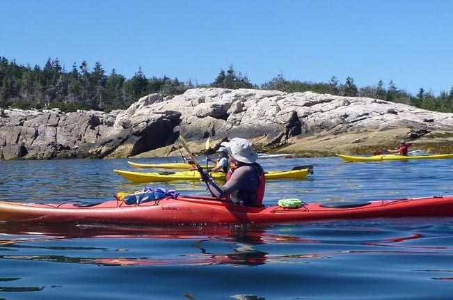 Kayak Rentals and Guided Tours