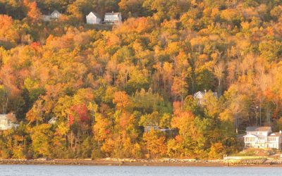 The Changing Leaves Are Still Gorgeous