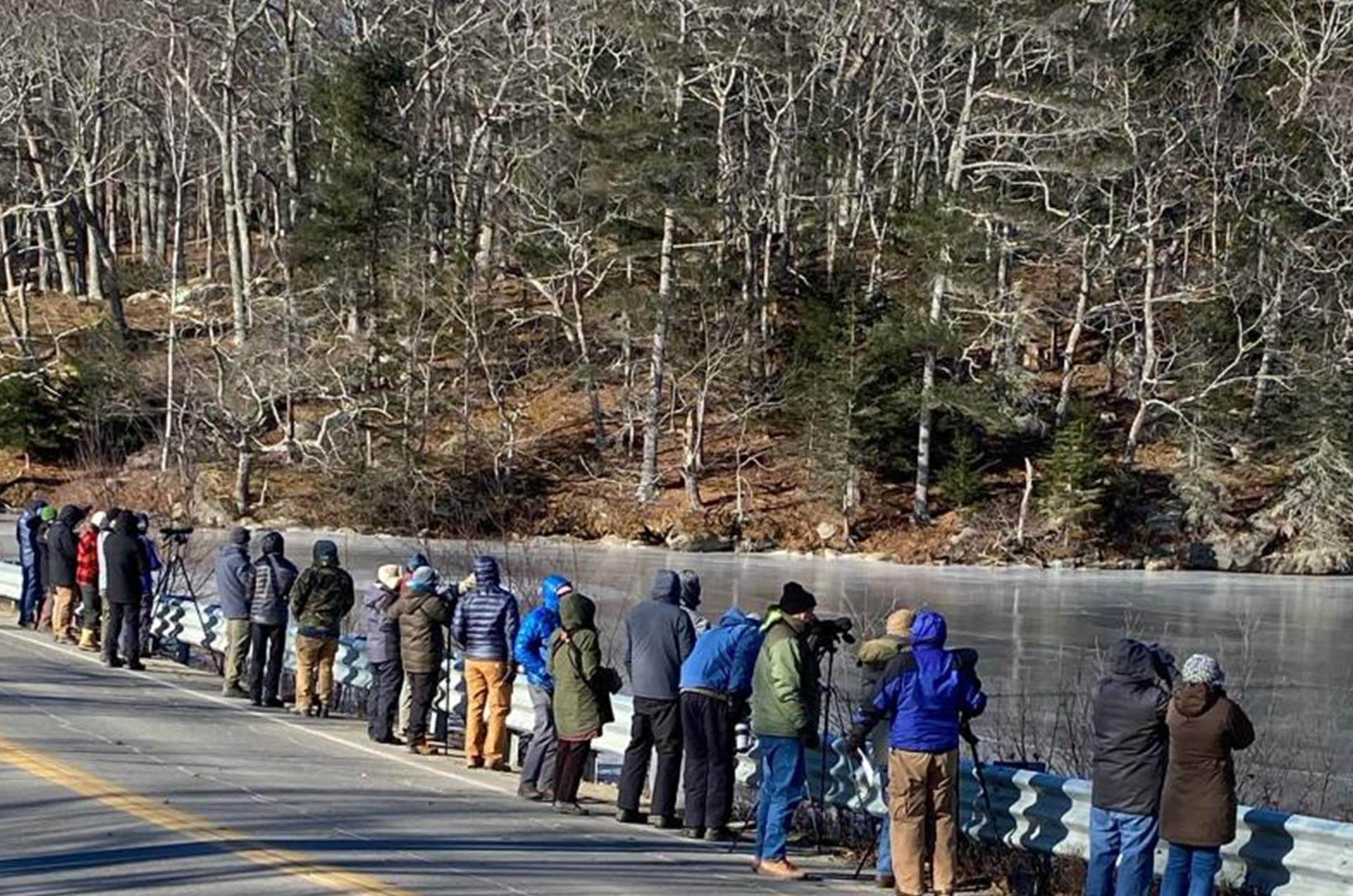 People Traveling, Five Gables Inn, East Boothbay, Maine