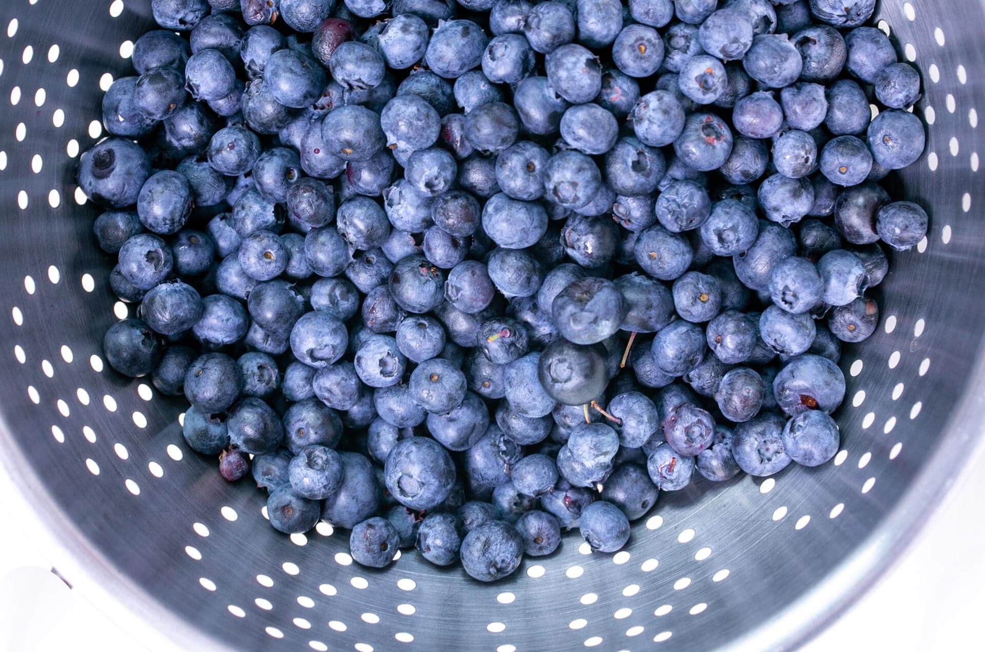 Maine Blueberries, Blueberries, Everywhere Blueberries Five Gables Inn