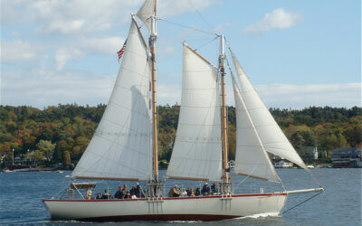 Boat Tours in Boothbay Harbor