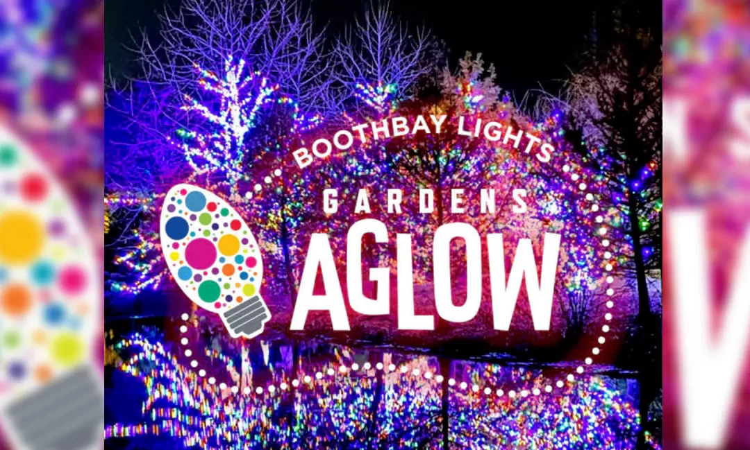 The Best Winter Light Show In Maine is Gardens Aglow in Boothbay