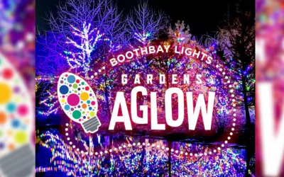 The Best Winter Light Show In Maine is Gardens Aglow in Boothbay